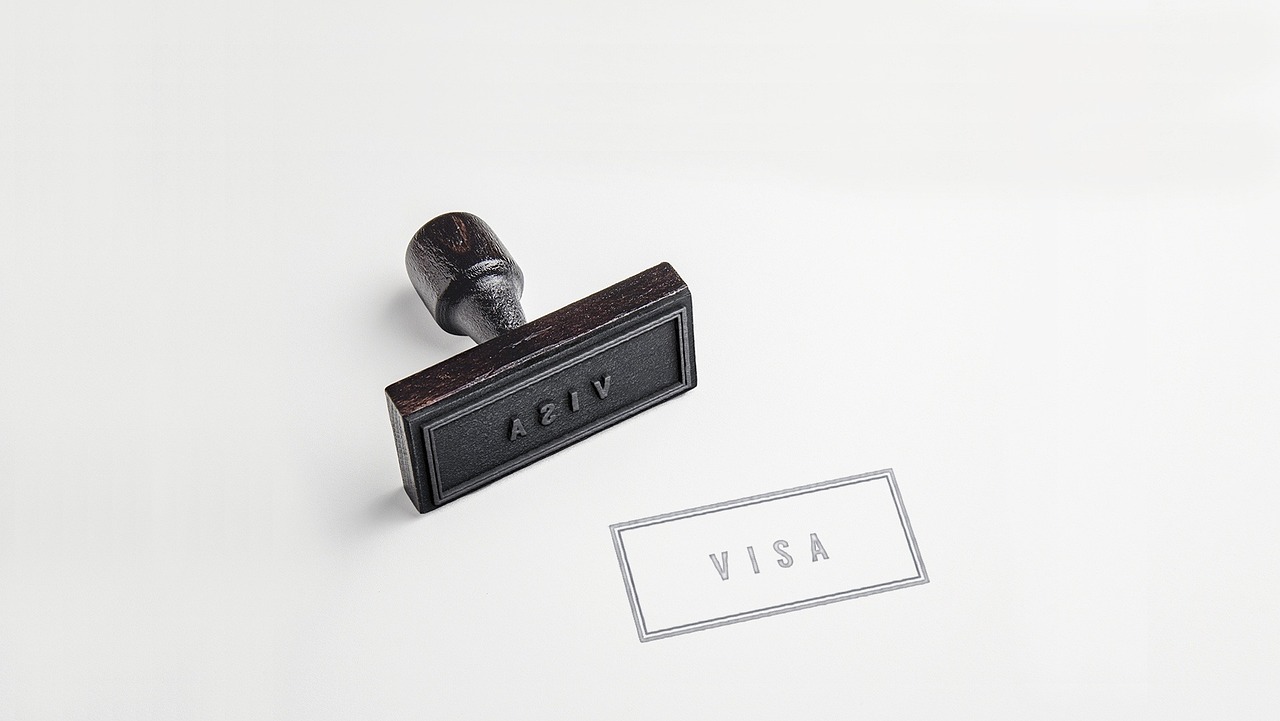 visa, paper, passport visa