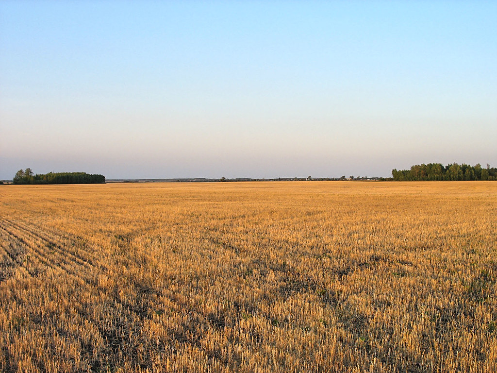 céréales Russie